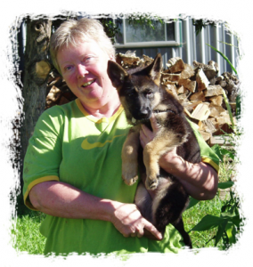 waggintailslori Lori with Deja Vu
